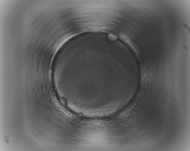 X0000102240932200808221327