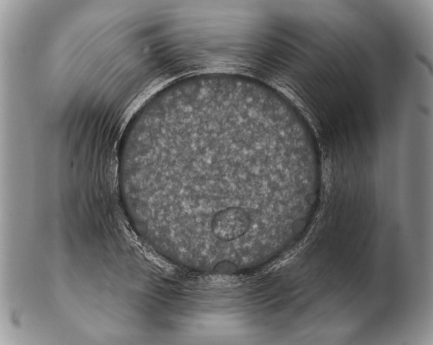 X0000102240933200808221327