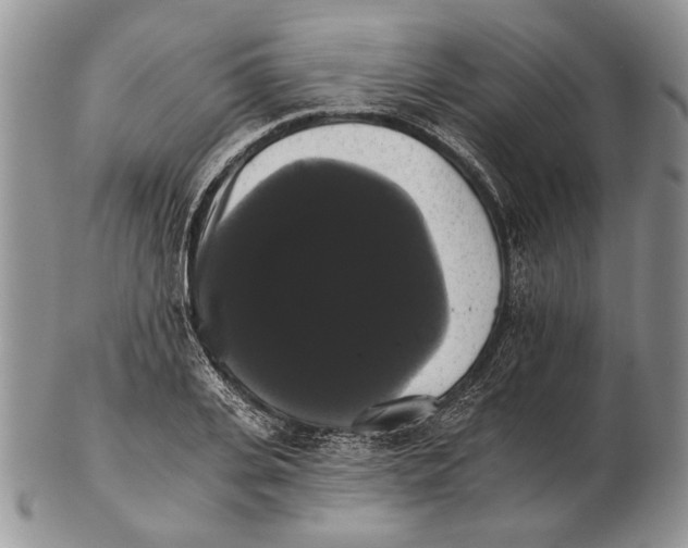 X0000102240935200808221327