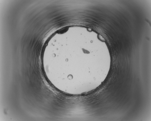 X0000102240936200808221327