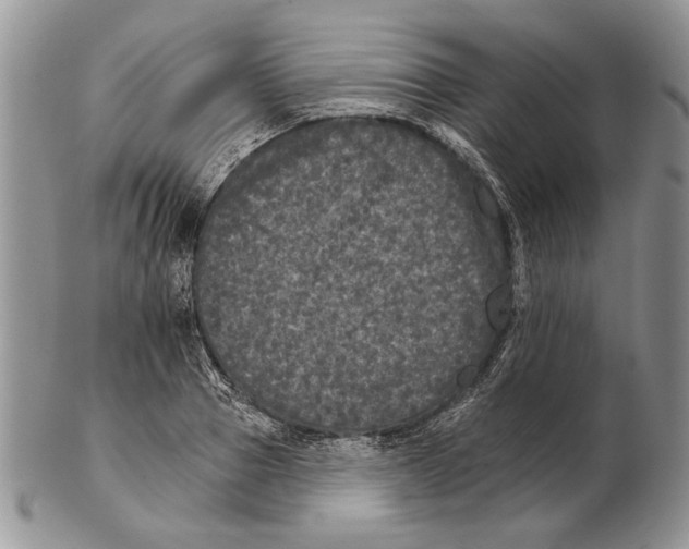 X0000102240937200808221327