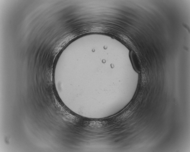 X0000102240938200808221327