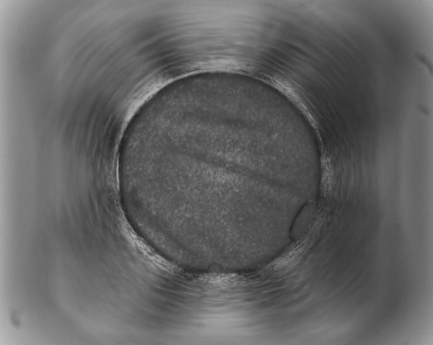 X0000102240939200808221327