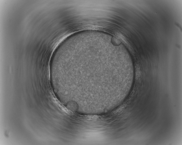 X0000102240940200808221327