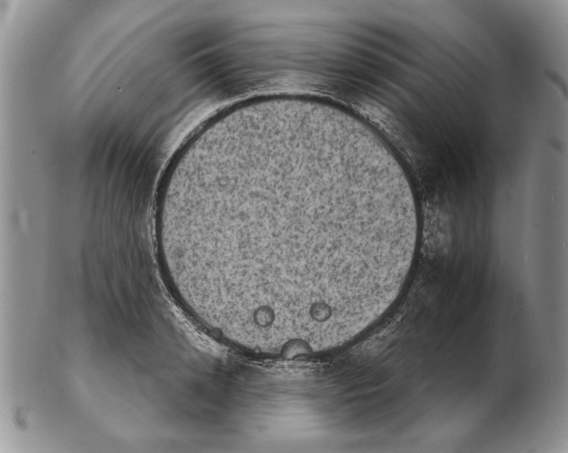 X0000102240942200808221327