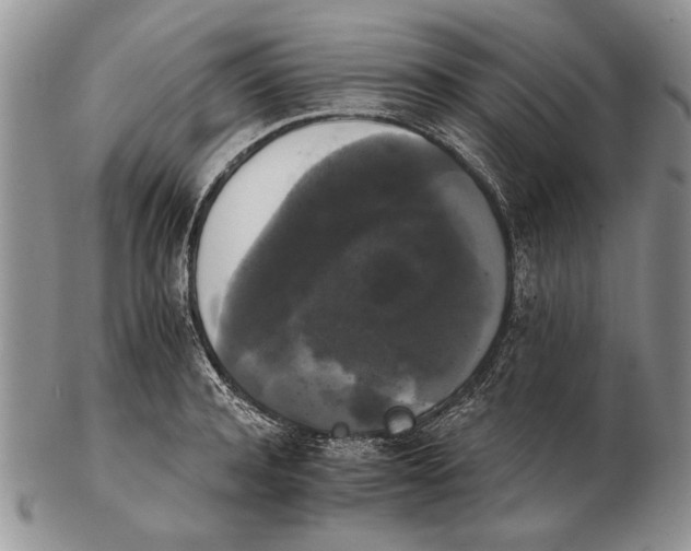 X0000102240944200808221327