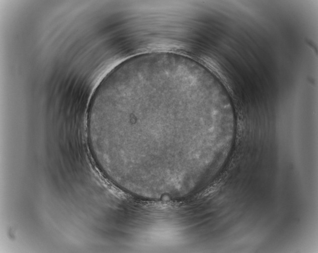 X0000102240948200808221327