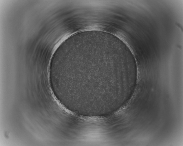 X0000102240949200808221327