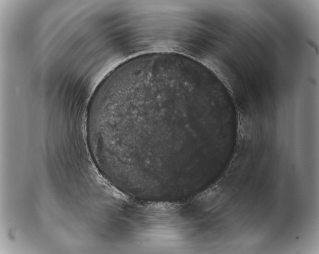 X0000102240950200808221327