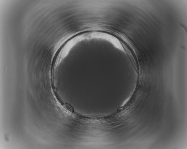 X0000102240951200808221327