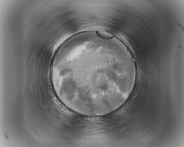 X0000102240952200808221327