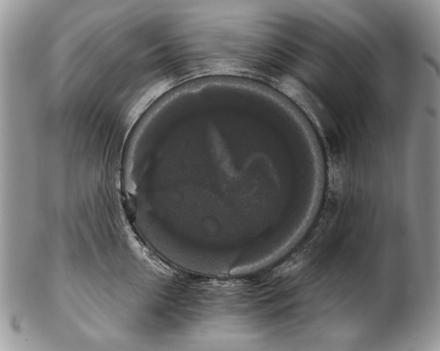 X0000102240954200808221327