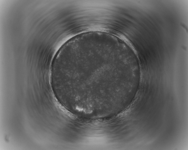 X0000102240955200808221327