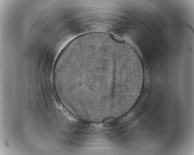 X0000102240956200808221327