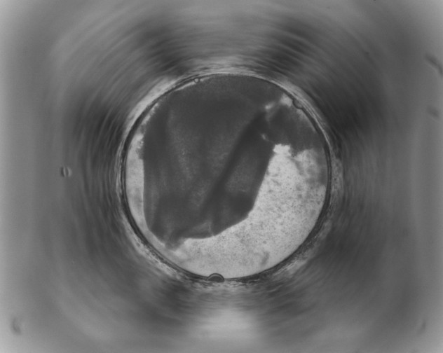 X0000102240957200808221327