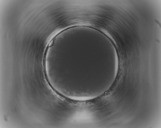 X0000102240959200808221328