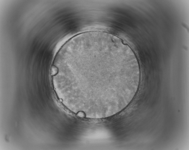 X0000102240960200808221328