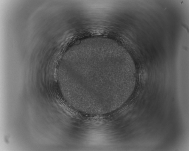 X0000102240961200808221327