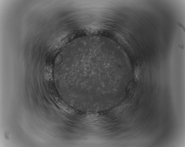 X0000102240964200808221327