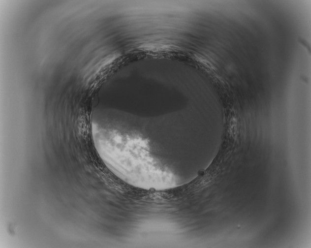 X0000102240966200808221327