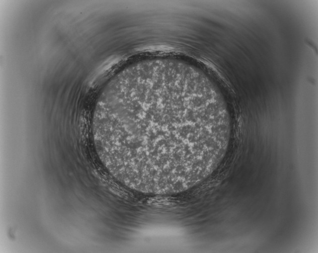 X0000102240967200808221327