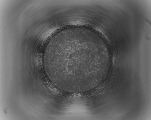 X0000102240968200808221327