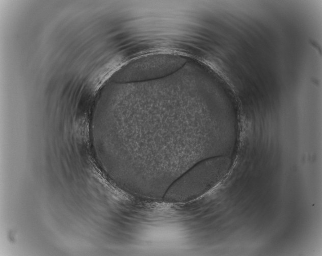 X0000102240969200808221327