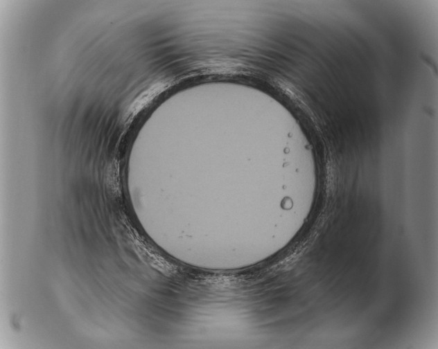 X0000102240970200808221327