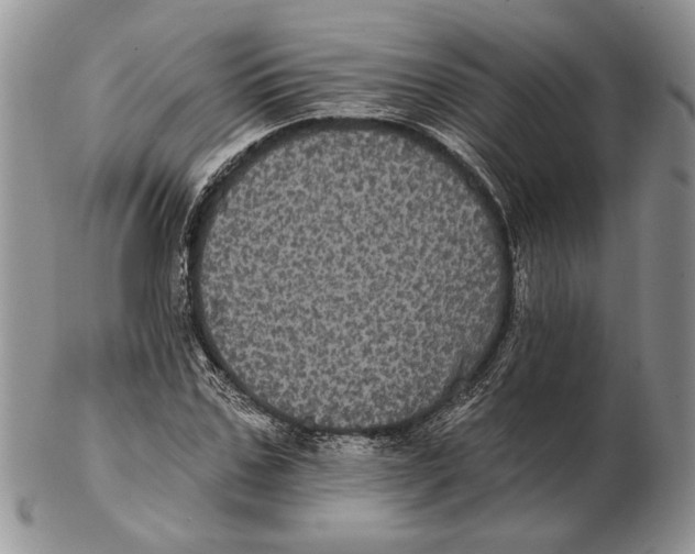 X0000102240971200808221327