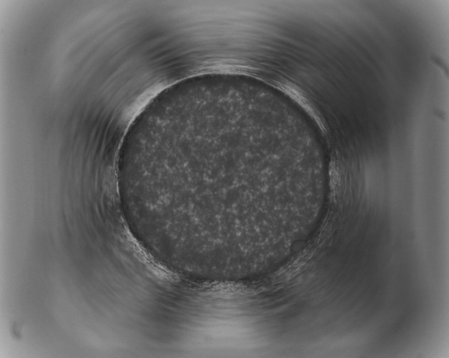 X0000102240972200808221327