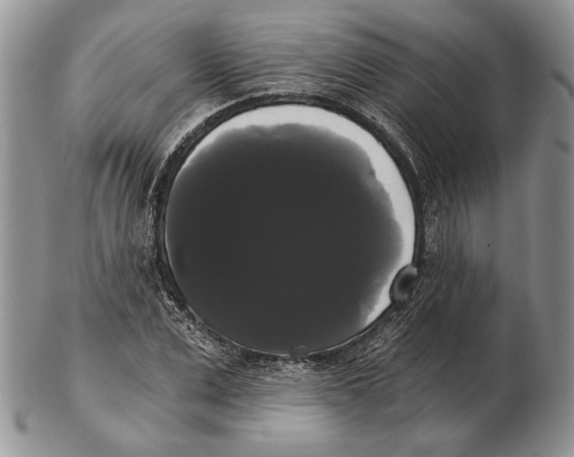 X0000102240975200808221327