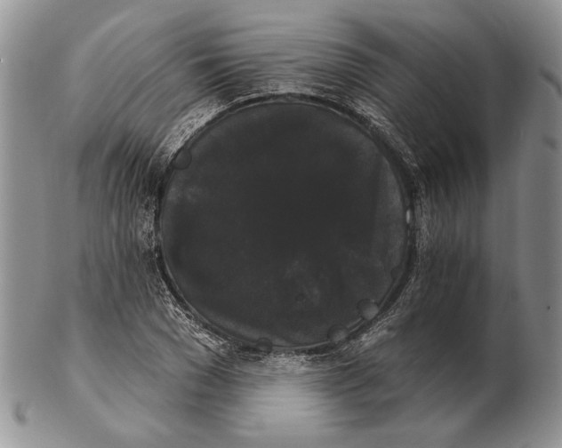 X0000102240977200808221326