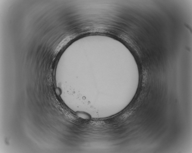 X0000102240978200808221326