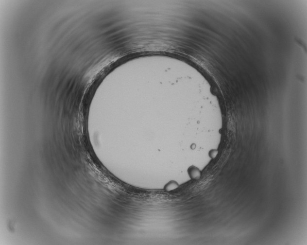 X0000102240979200808221326