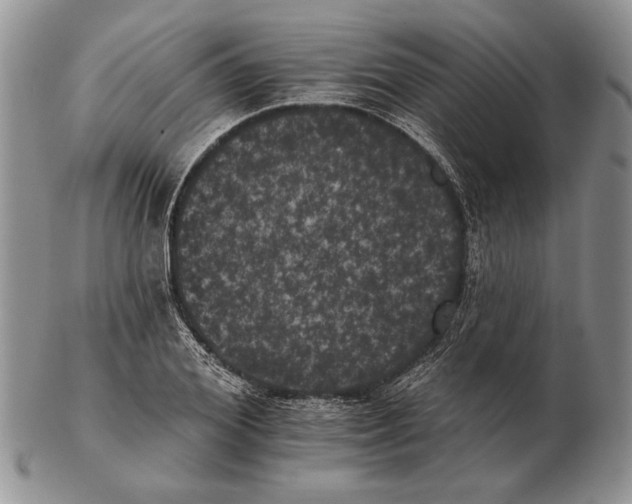 X0000102240980200808221326