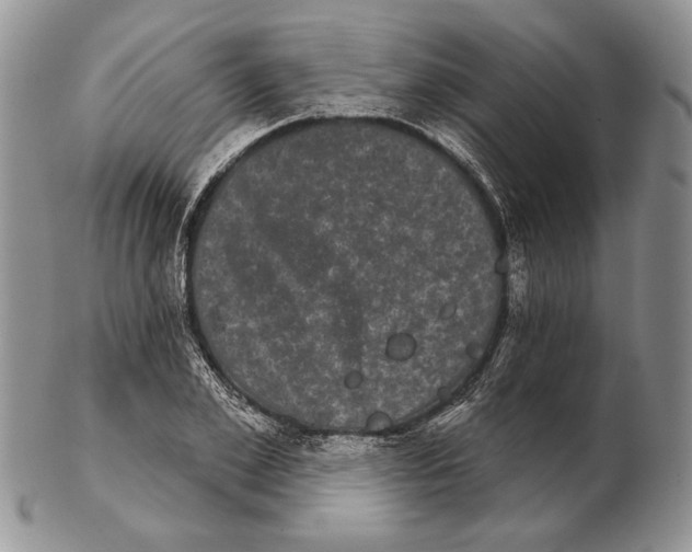 X0000102240981200808221326