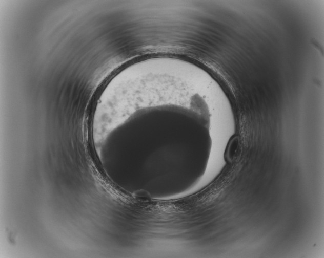 X0000102240983200808221326