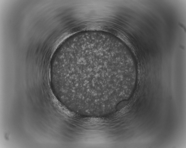 X0000102240984200808221326