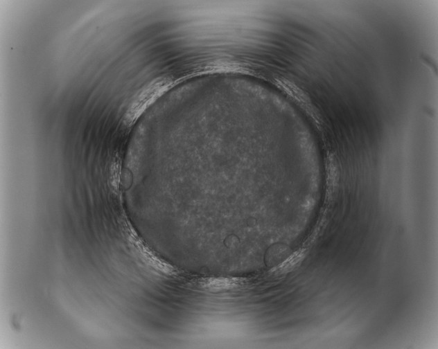 X0000102240985200808221326