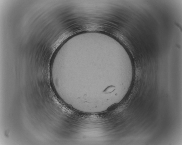 X0000102240986200808221326