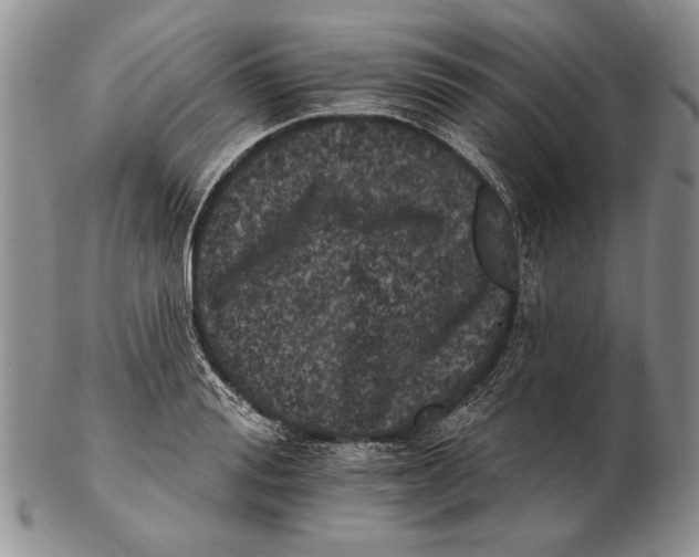 X0000102240988200808221326