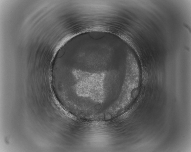 X0000102240989200808221326