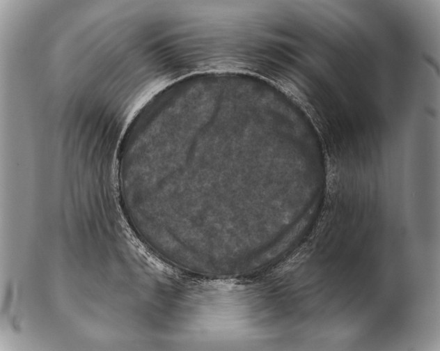 X0000102240990200808221326