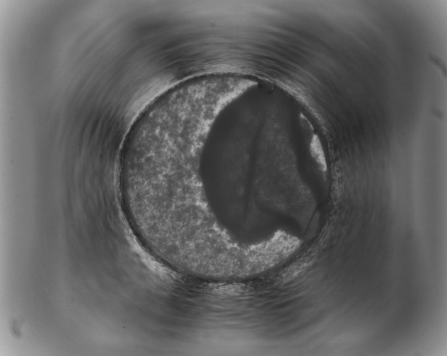 X0000102240991200808221326