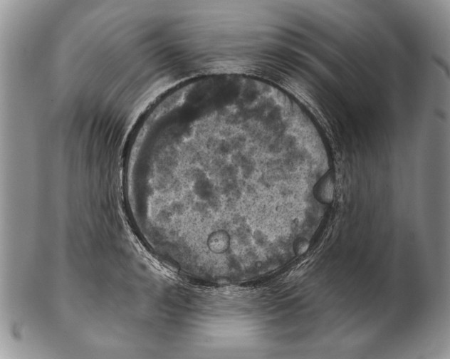 X0000102240992200808221326