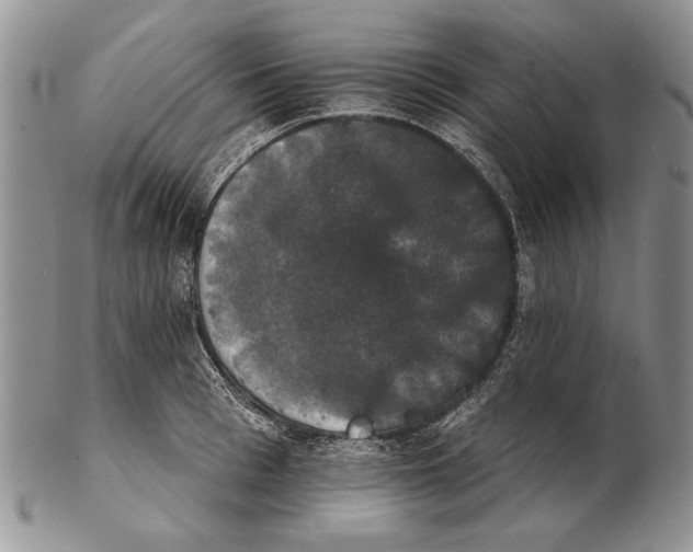 X0000102240993200808221326