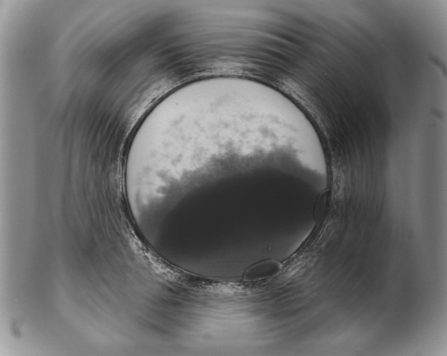 X0000102240994200808221326