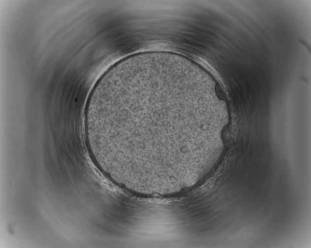 X0000102240996200808221326