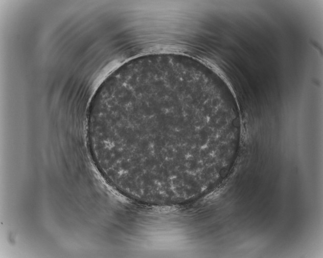 X0000102240997200808221326