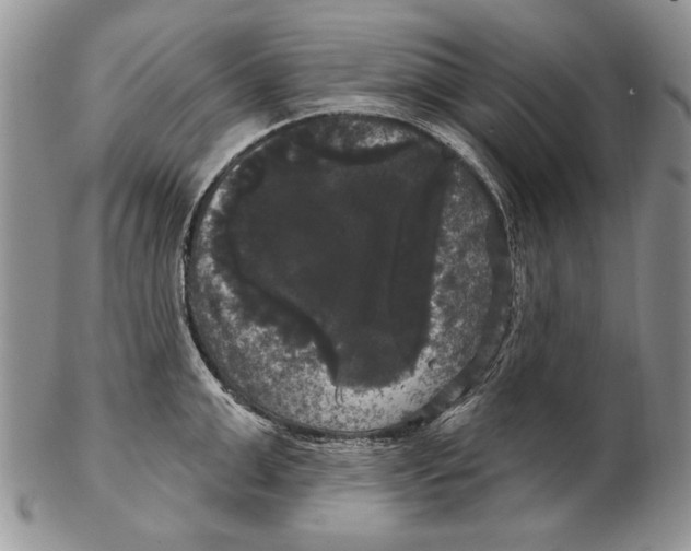 X0000102240999200808221326